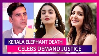 Rata Tata Calls It ‘Meditated Murder’; Anushka Sharma, Virat Kohli Want Justice For Pregnant Elephant Killed In Kerala Rata Tata Calls It ‘Meditated Murder’; Anushka Sharma, Virat Kohli Want Justice For Pregnant Elephant Killed In Kerala
